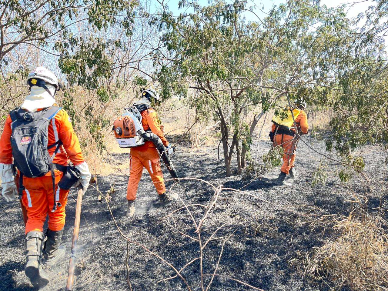 Doze municípios baianos registram incêndios florestais no fim de semana