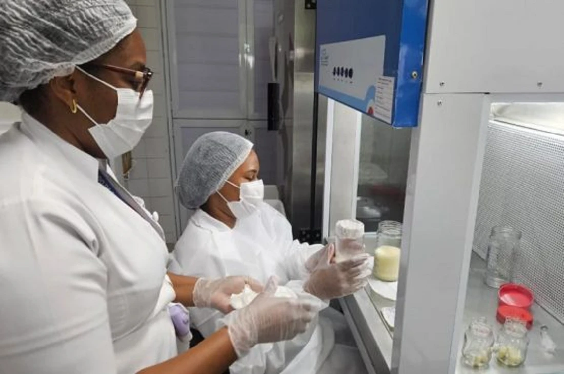 Um litro de leite materno pode salvar até 10 bebês; veja quem pode doar