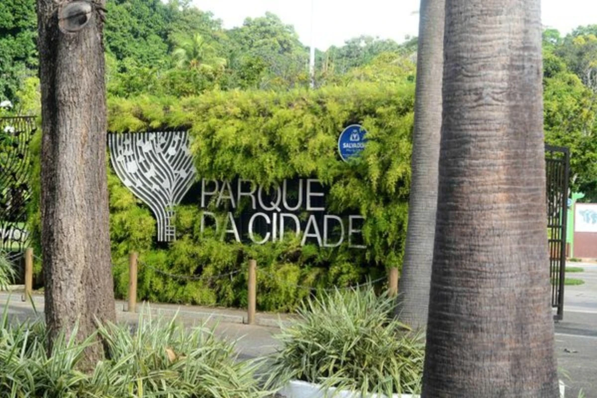 Feira gratuita com aulas de zumba, exames e adoção de gatos ocorre neste fim de semana em Salvador
