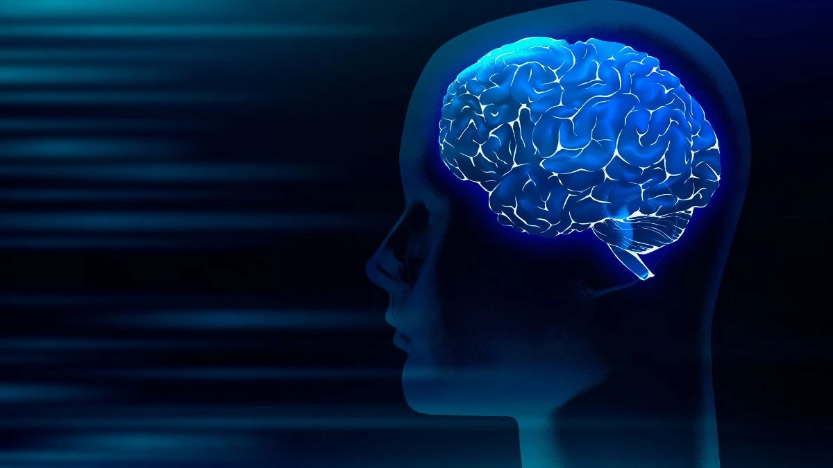 5 hábitos para turbinar o cérebro, segundo a neurociência