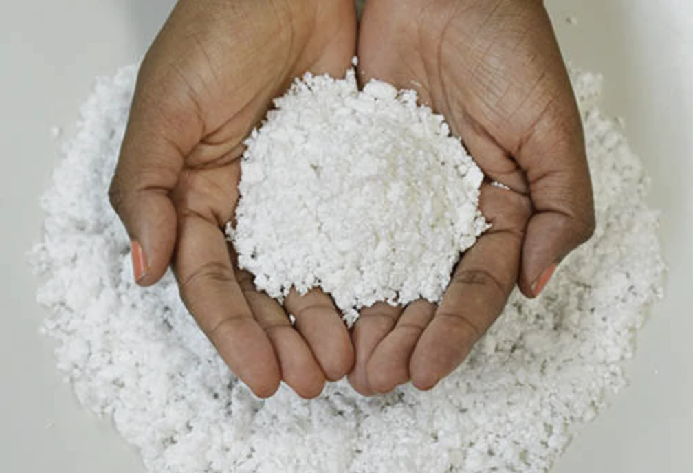 Tarifaço dos EUA afetará 245 produtos da Bahia; celulose solúvel é a maior preocupação
