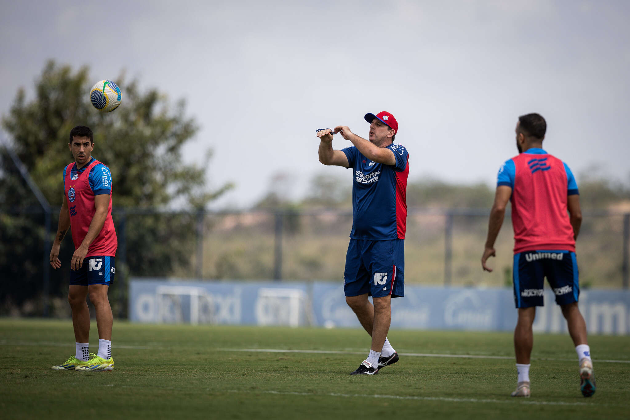 Bahia tem queda de aproveitamento no segundo turno e mira melhora na reta final para ir à Libertadores