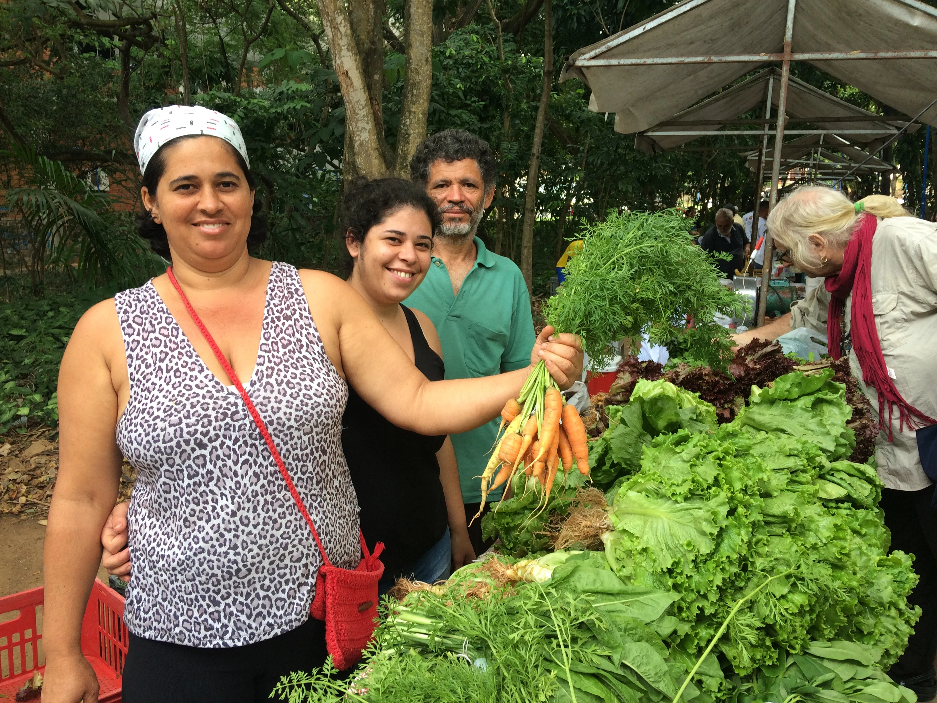 Na contramão do Brasil, Bahia amplia número de produtores orgânicos