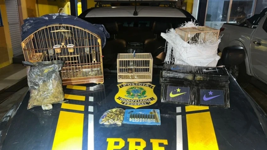 PRF prende mulher com aves silvestres, drogas e TV Box em Feira de Santana