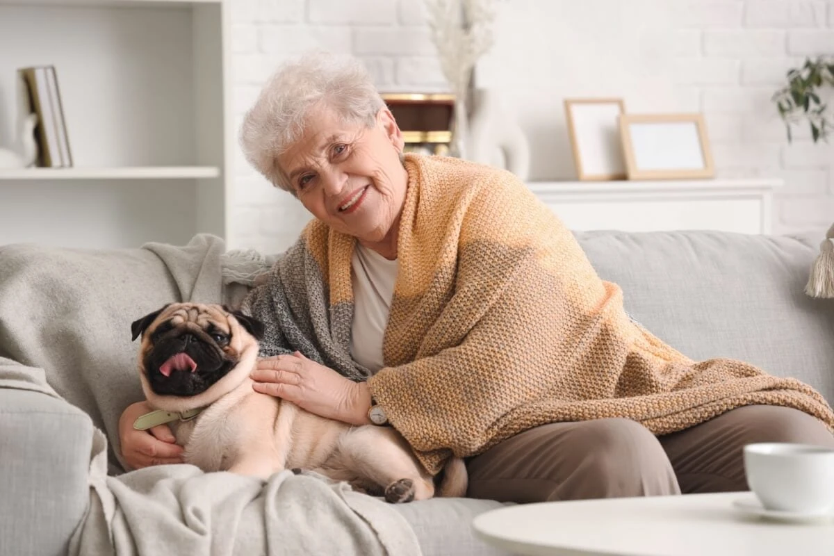 7 raças de cachorro ideais para idosos