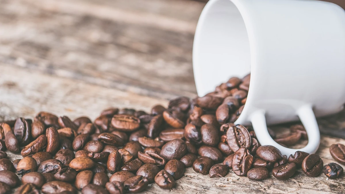 Pare de guardar o café assim: erro comum acaba com aroma e sabor da bebida