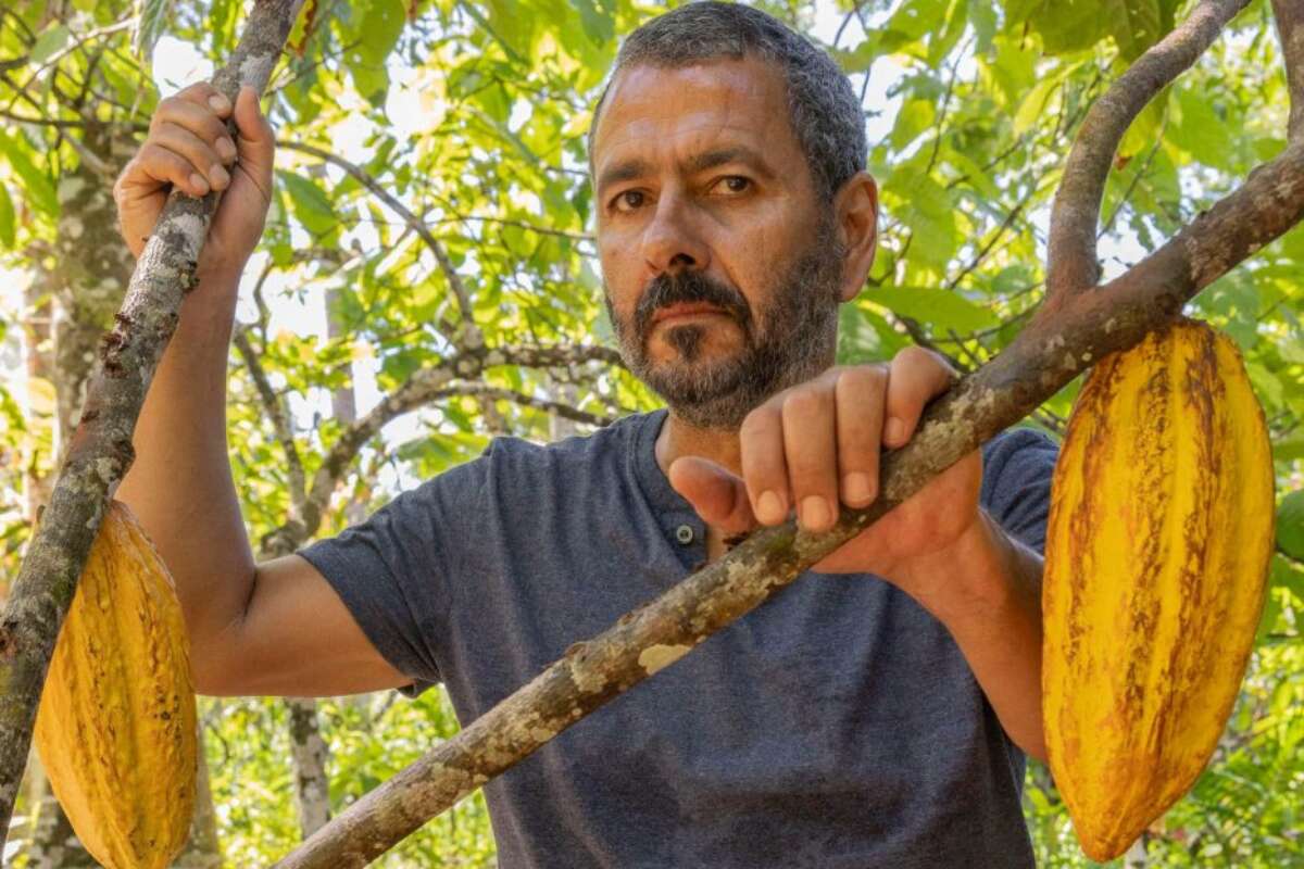 Ator Marcos Palmeira vai receber título de cidadão baiano na Alba