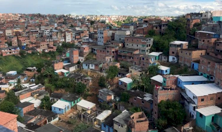 Pau Miúdo, Pau da Bandeira e Pau da Lima: conheça a origem dos nomes curiosos de lugares em Salvador
