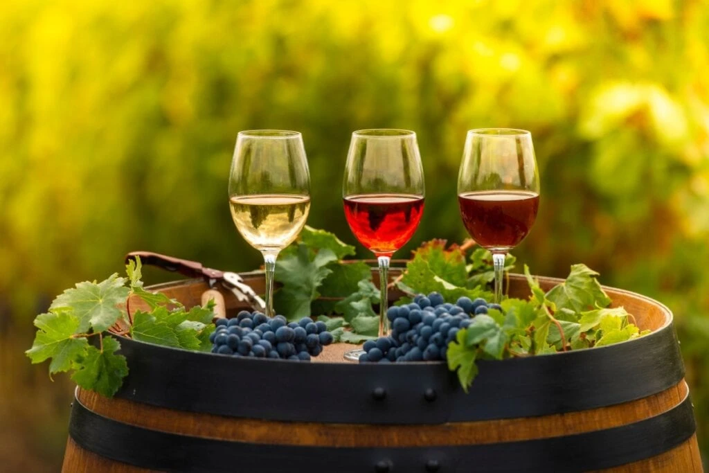 Wine Brasil Music traz festival de vinhos e shows no Tira-Chapéu