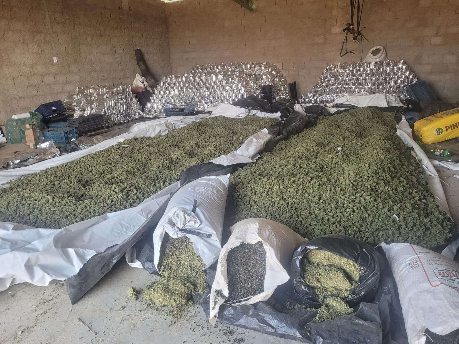 Mais de duas toneladas de maconha são apreendidas na Bahia