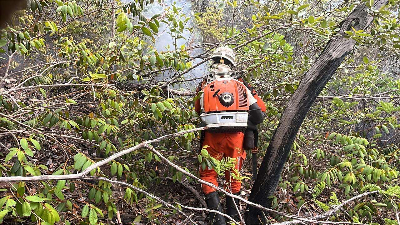 Força-tarefa reúne mais de 50 bombeiros e aeronaves para combater incêndio na Chapada