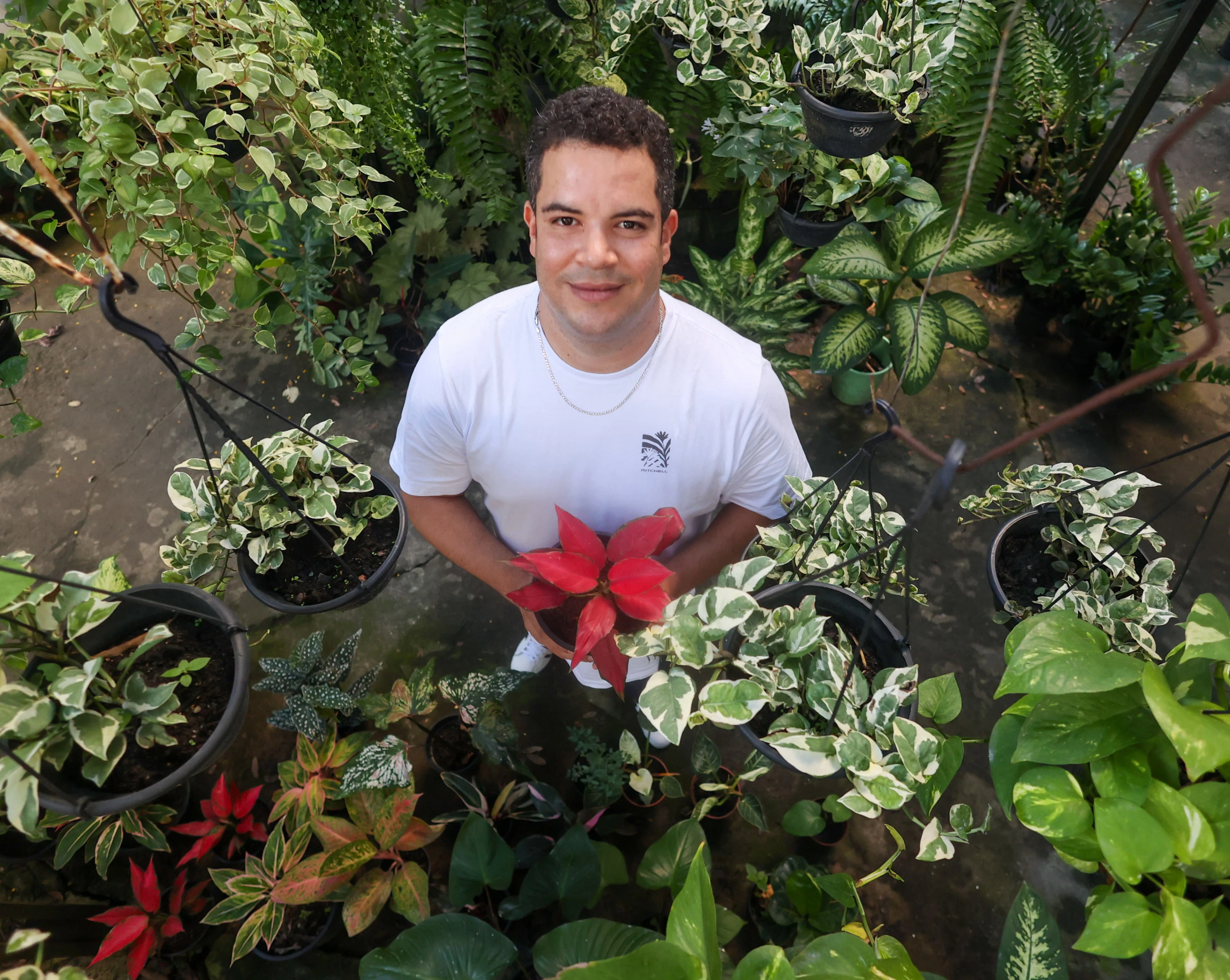 Delivery de plantas: engenheiro agrônomo que era motorista de aplicativo monta negócio inusitado em Salvador