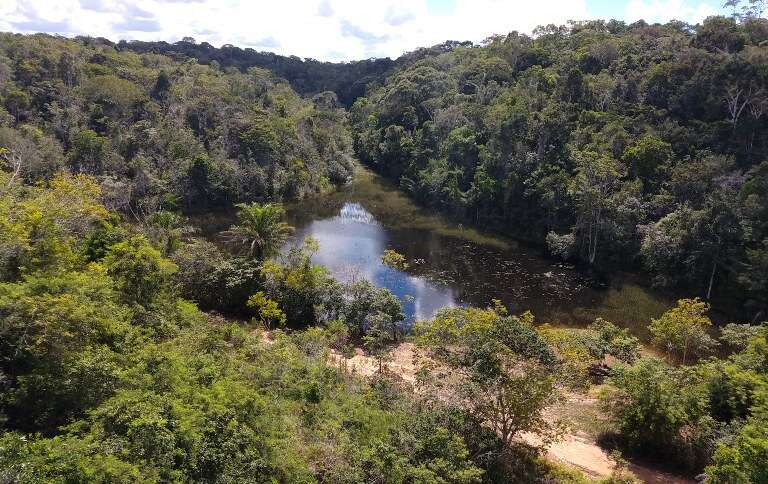 Indígenas ocupam Parque Nacional do Descobrimento, e visitação é suspensa