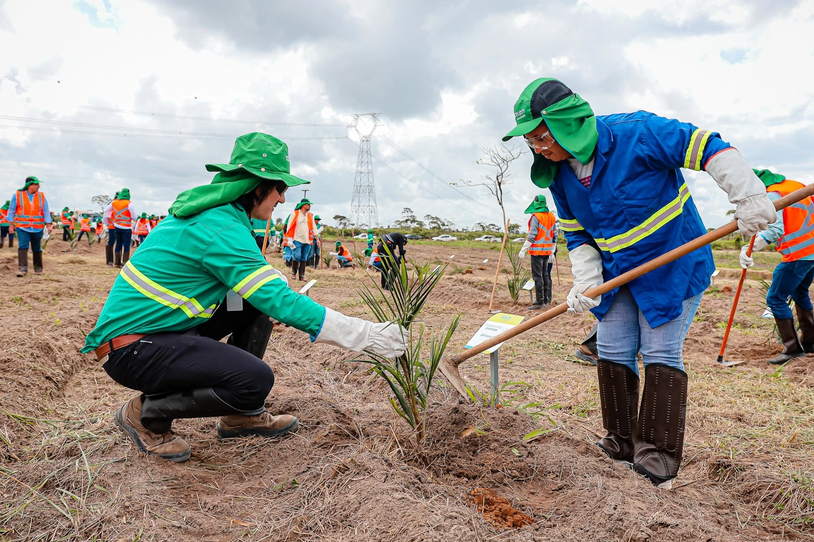 Cachoeira é escolhida para abrigar primeira fazenda-modelo da Acelen