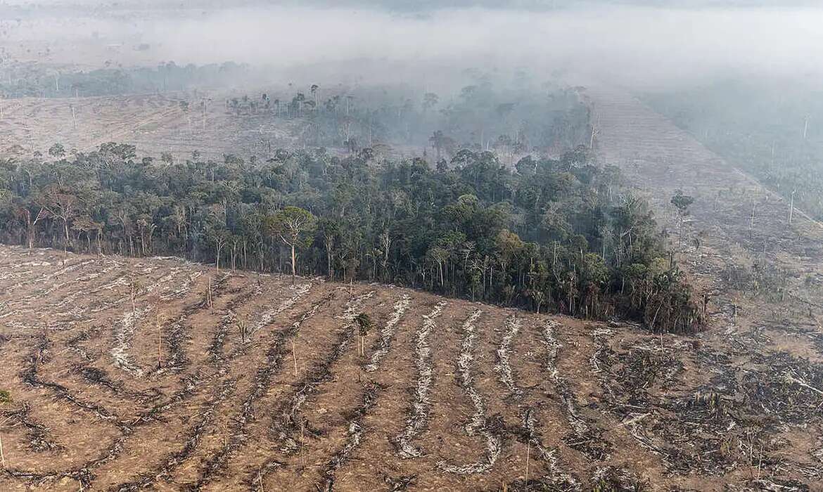 Degradação de florestas na Amazônia bate recorde mensal em setembro