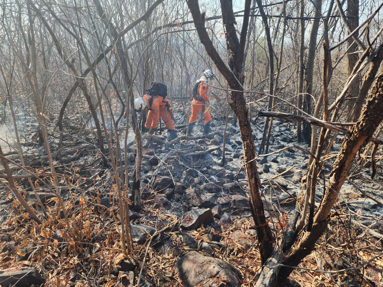 Oeste da Bahia recebe apoio de helicóptero dos bombeiros em combate a incêndios florestais