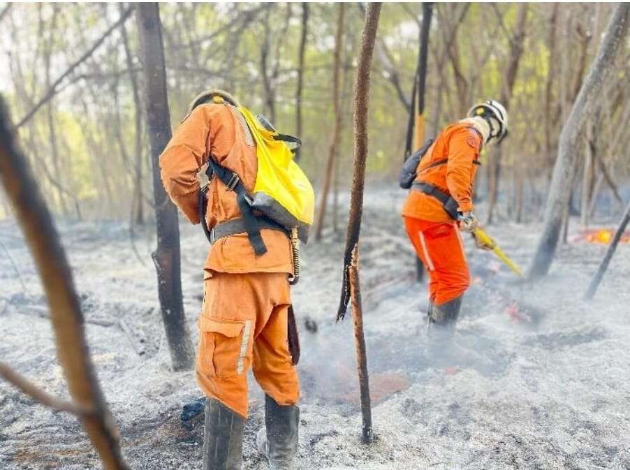 Bombeiros apagam incêndios florestais em Barreiras e São Desidério