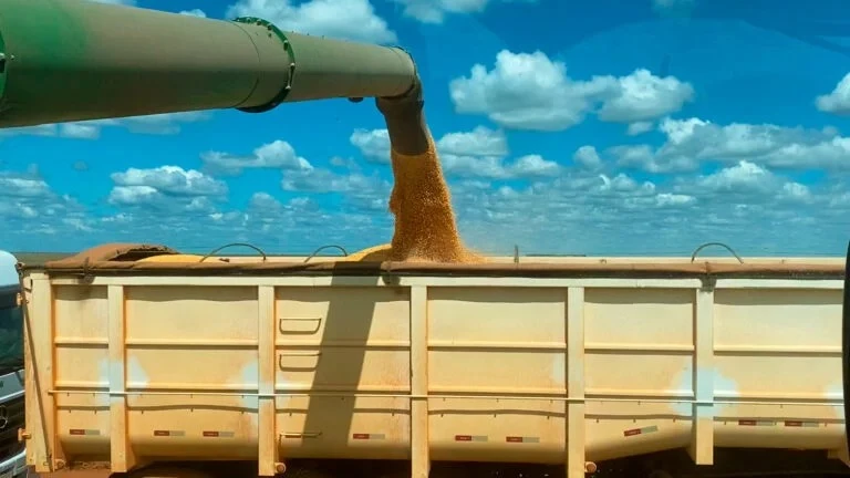 Usinas vão investir R$ 40 bilhões na produção de etanol a partir do milho