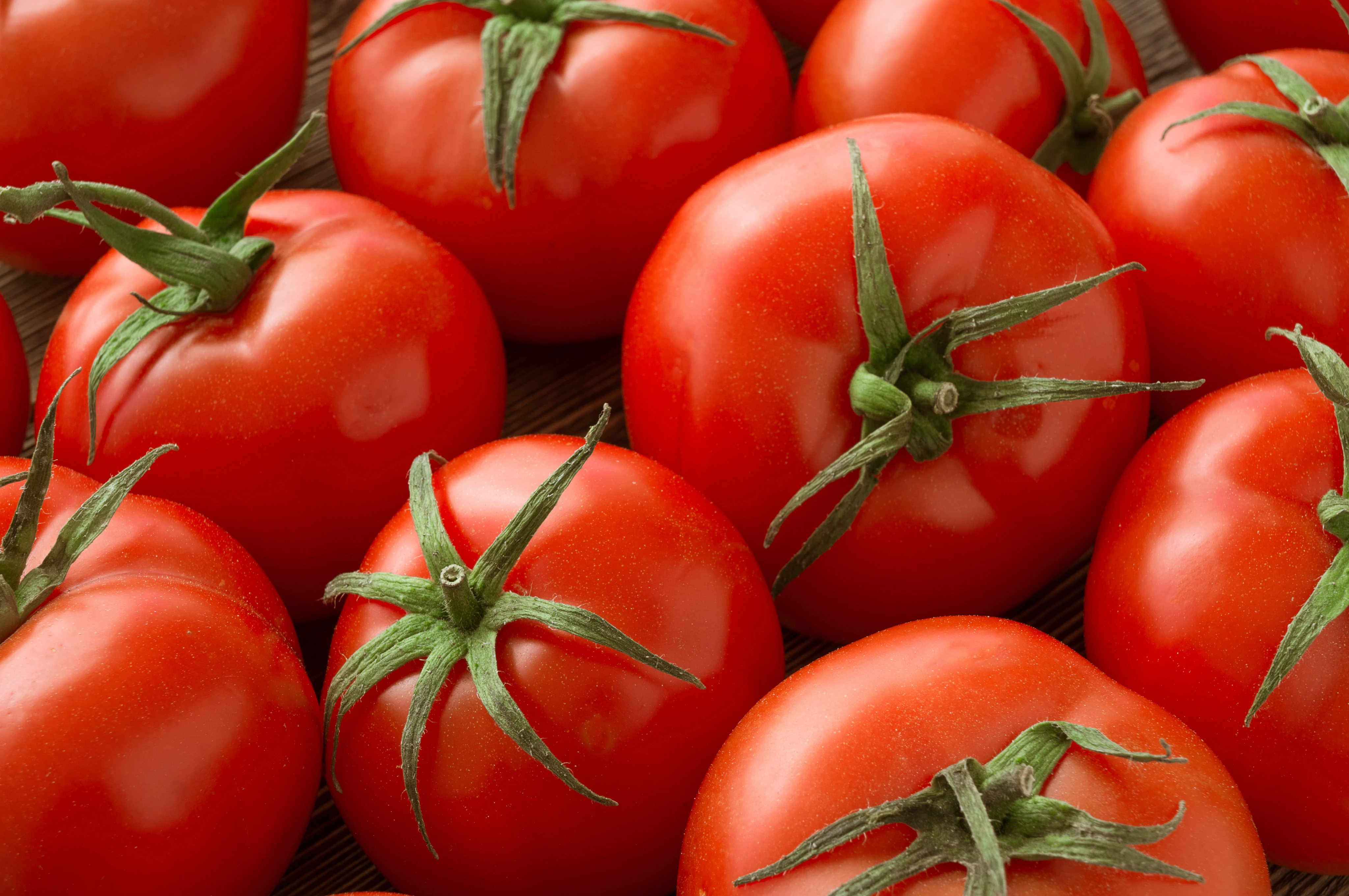 Alta do tomate: saiba por que o produto ficou mais caro para chegar na mesa dos baianos