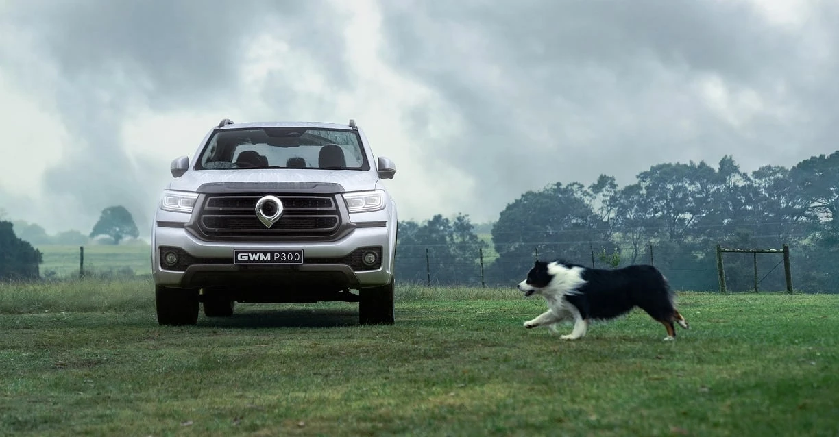 Planos da GWM para o país incluem picape diesel e SUV de sete lugares, conheça os veículos