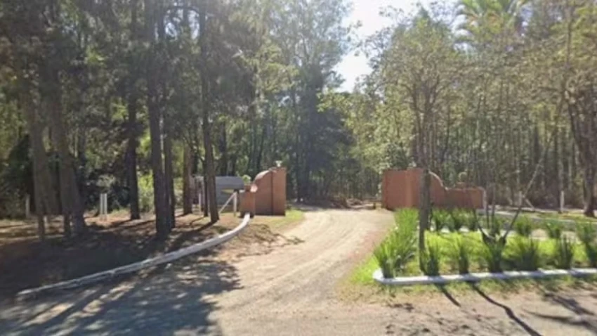 Trabalhador baiano morre ao ser atingido na cabeça por árvore em fazenda paulista