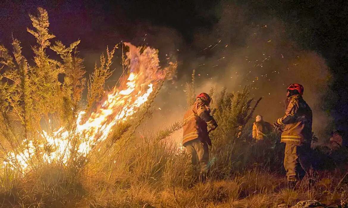 Por que os incêndios florestais acontecem com mais frequência no Oeste e no Norte?