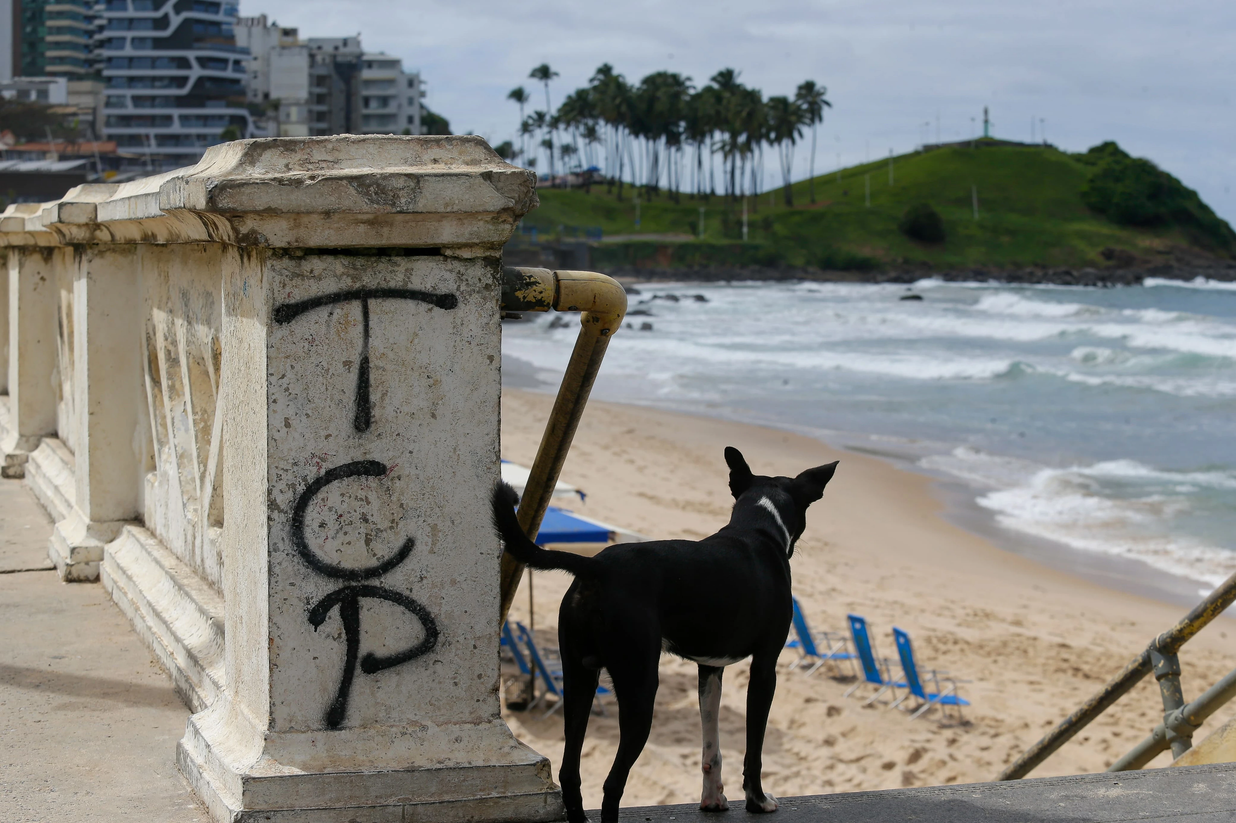 Saiba quais as facções que dominam os cartões postais de Salvador
