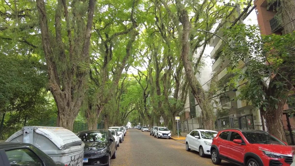 Listamos as 6 ruas mais bonitas do Brasil; a quinta vai te surpreender