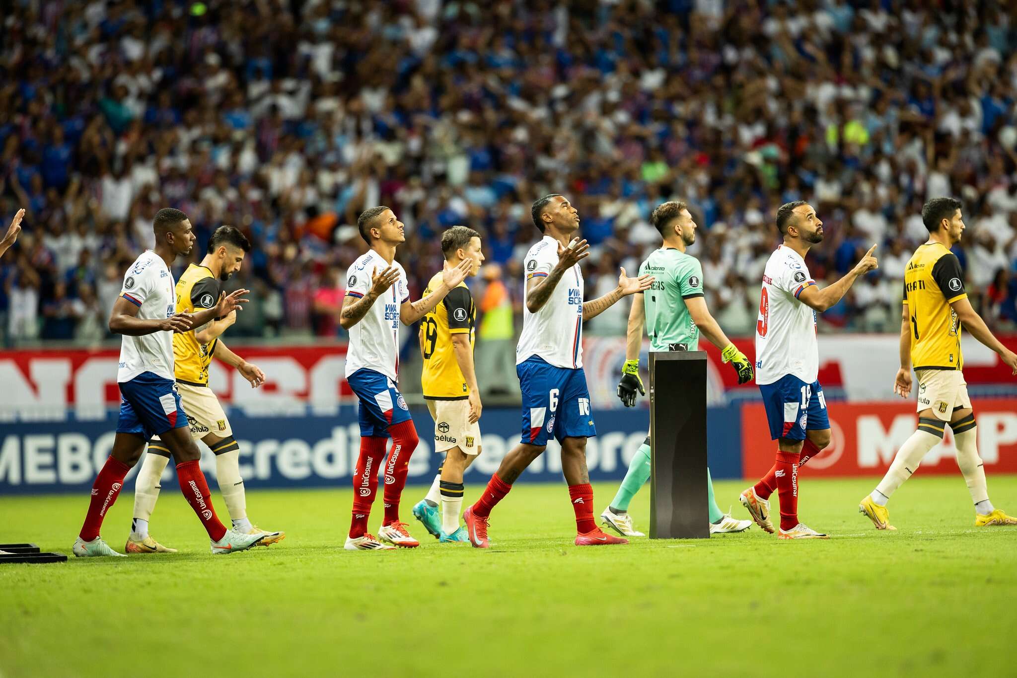 Bahia já sabe quando enfrentará o Boston River pela Libertadores; veja detalhes