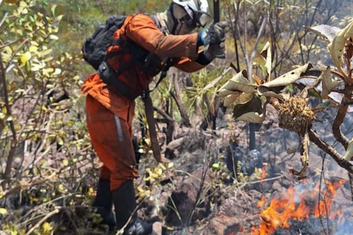 Bombeiros já combateram 1.033 incêndios florestais na Bahia