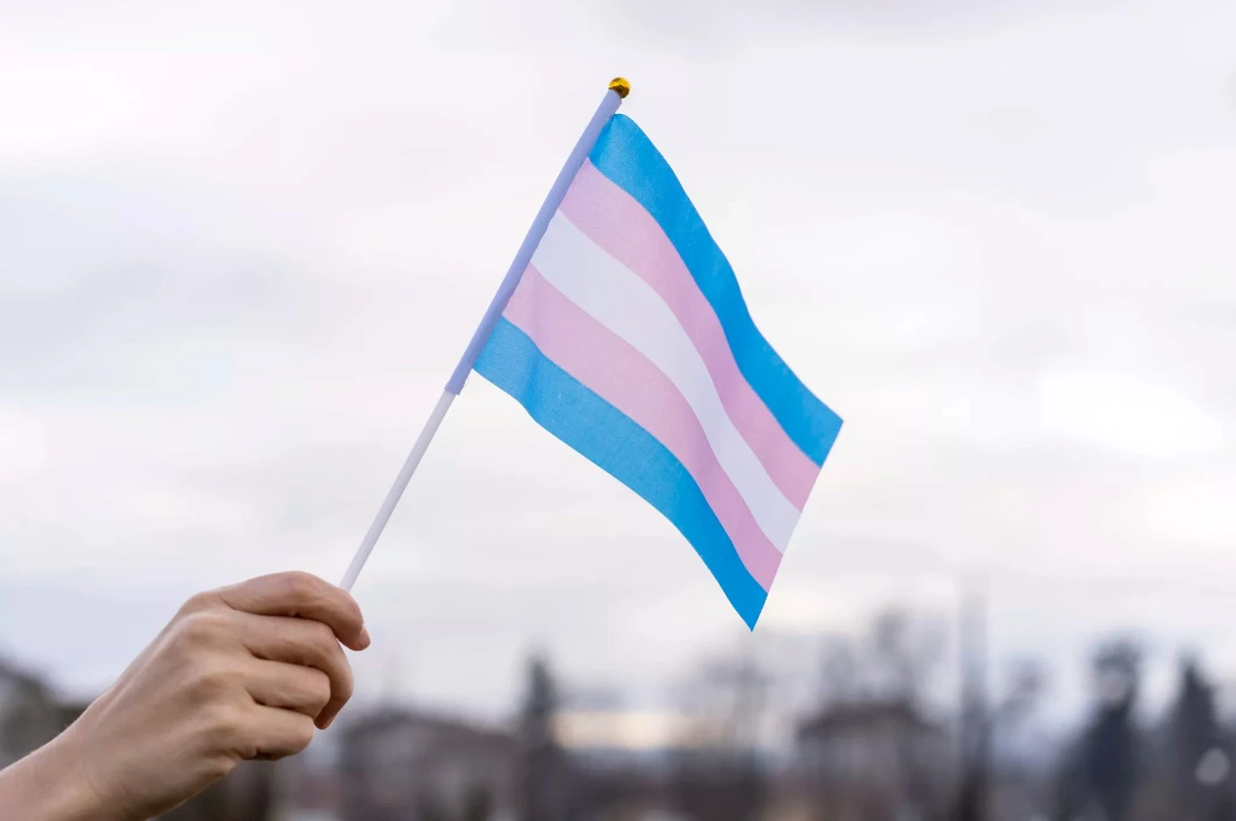 Trans de fora: Justiça do Reino Unido decide que sexo biológico define 'mulher' legalmente
