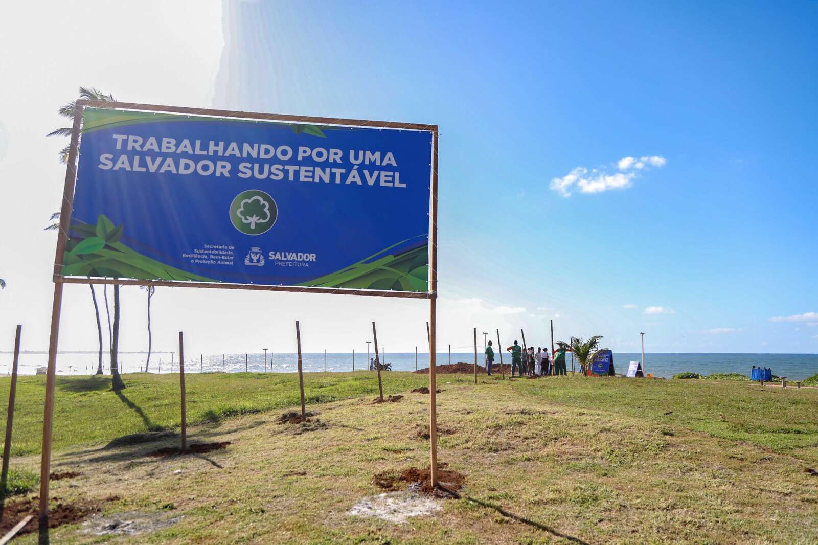 Salvador terá plantação de duas mil mudas de coqueiros no Jardim de Alah