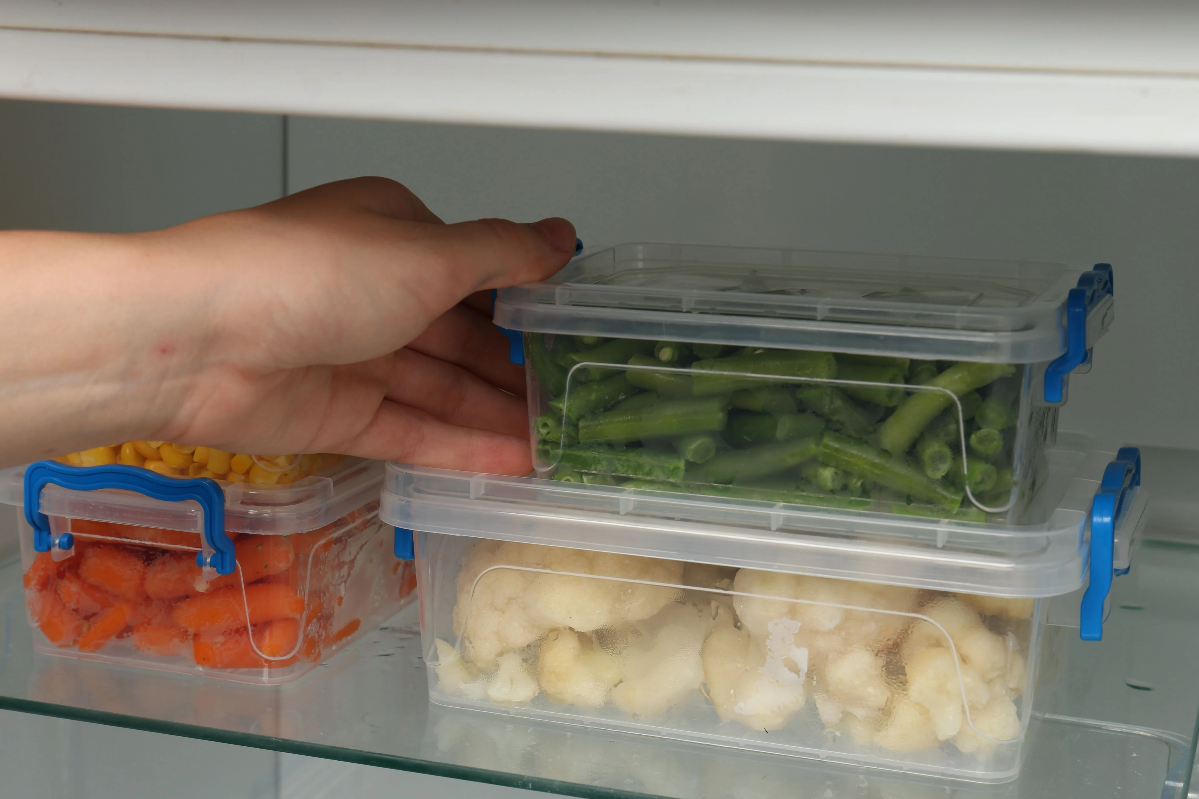 Veja 7 dicas para os alimentos durarem mais na geladeira e evitar desperdício