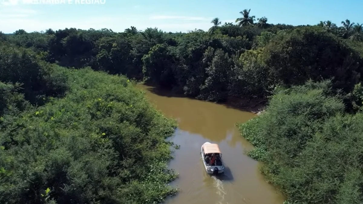 Maior delta fluvial das Américas está no Brasil e pode ser visitado de barco