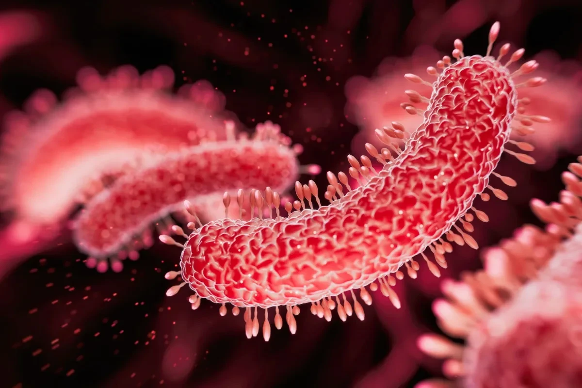 Teste rápido identifica superbactérias em seis horas e pode transformar rotina de UTIs