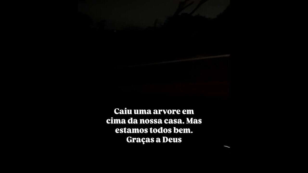 Árvore que cai em cima da casa de Viih Tube e Eliezer: 'Estamos todos bem'