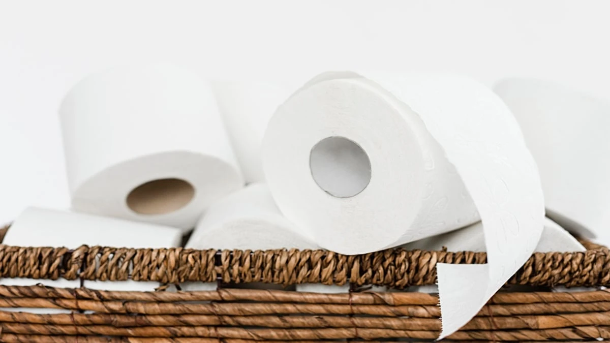 Sempre troque o rolo de papel higiênico ao chegar em um quarto de hotel; entenda