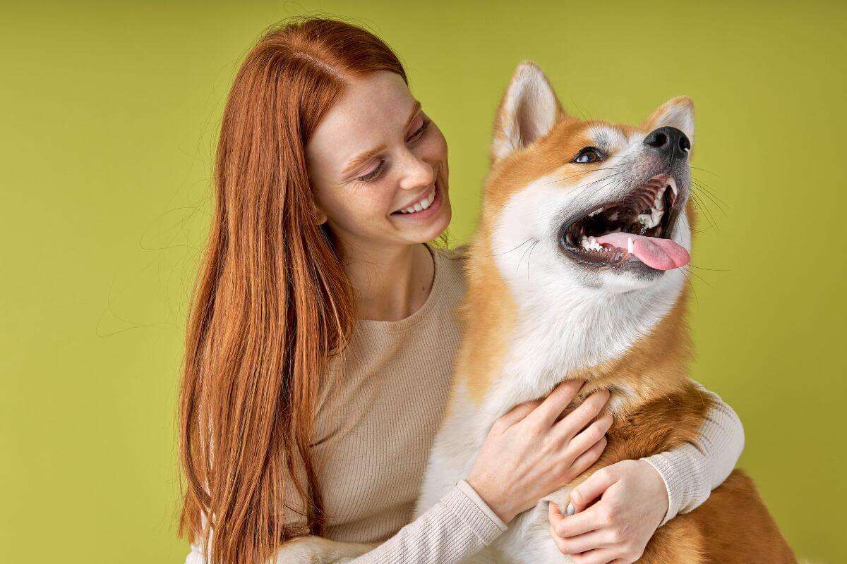 7 semelhanças entre humanos e cachorros 