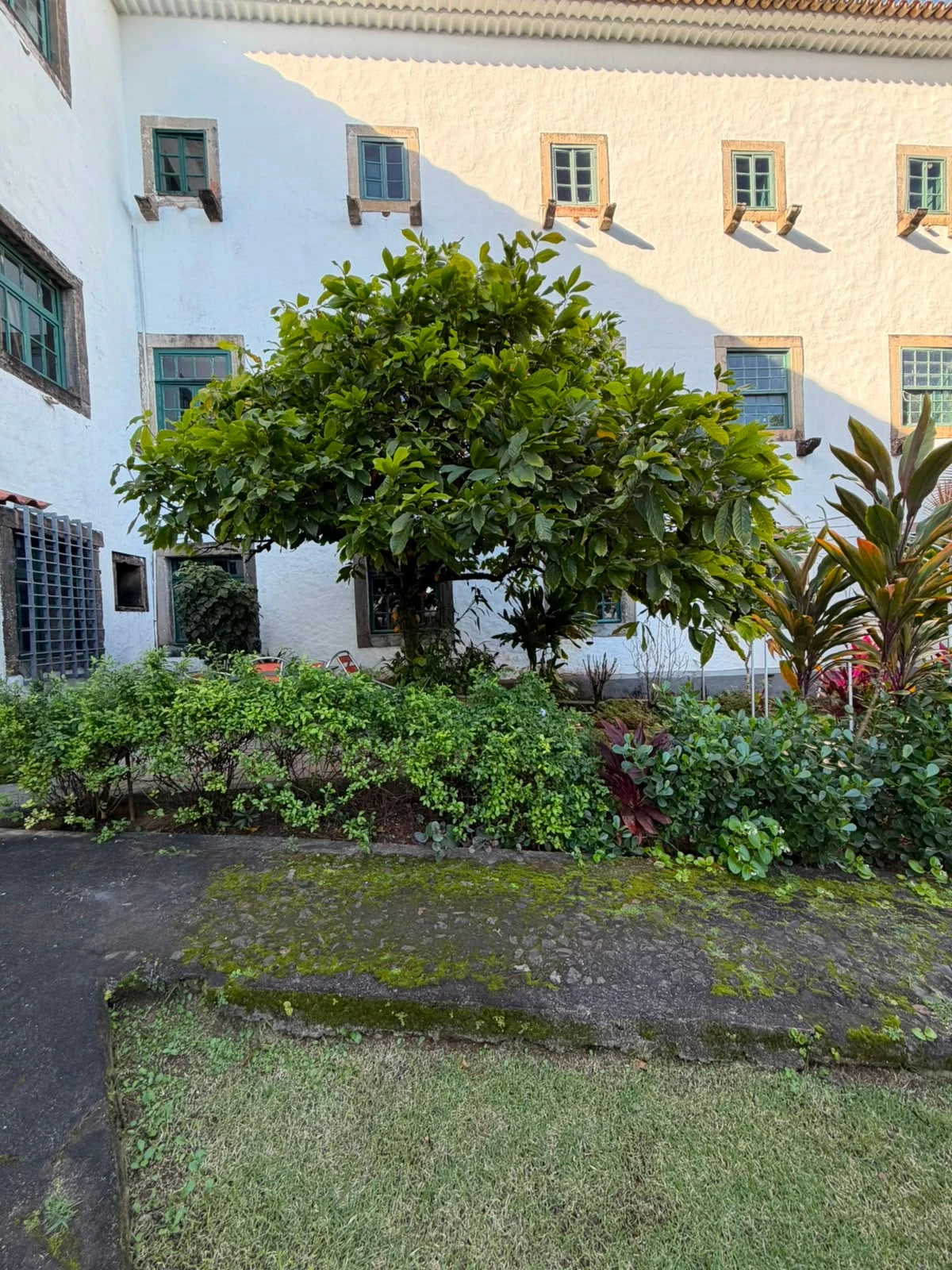 Igreja de São Francisco quer transformar parte do convento em hotel para ajudar na restauração