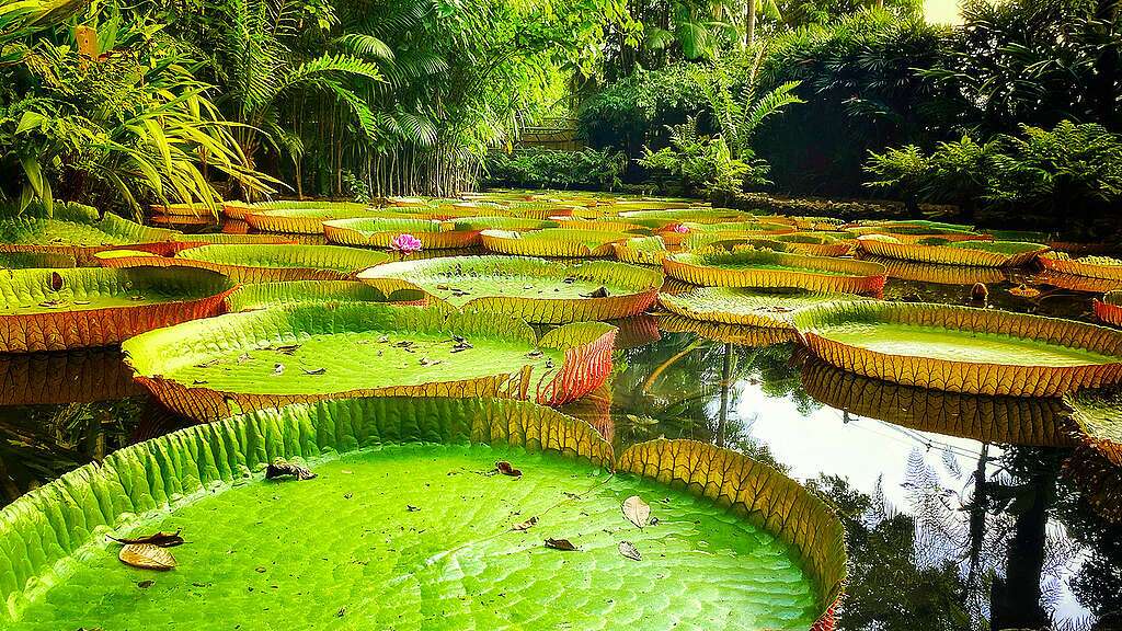 Descubra os 3 destinos brasileiros entre os 57 lugares mais bonitos do mundo