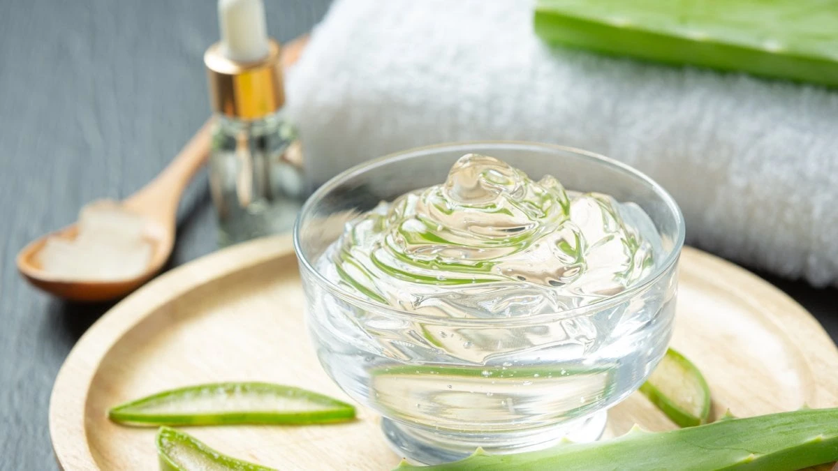 Aprenda a preparar gel de babosa em casa e economize nos cuidados com a pele