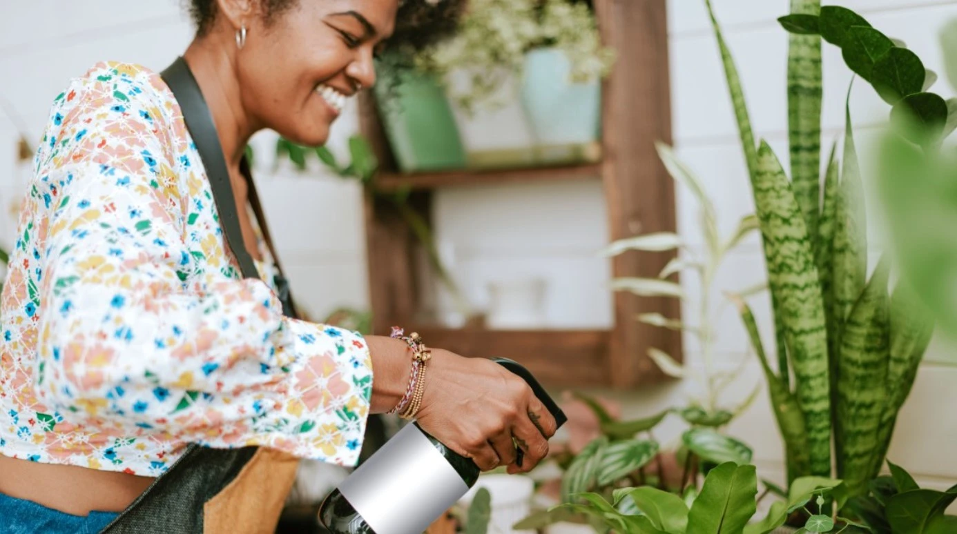Tempero comum pode ser a salvação para suas plantas murchas