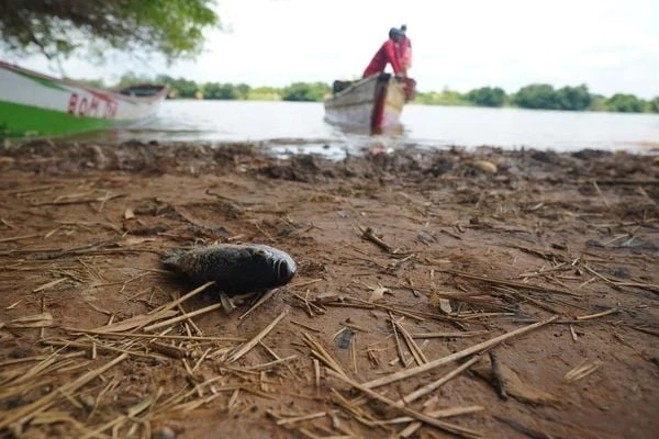 Onde falta verde, falta dignidade: os desafios ambientais que atingem os mais vulneráveis