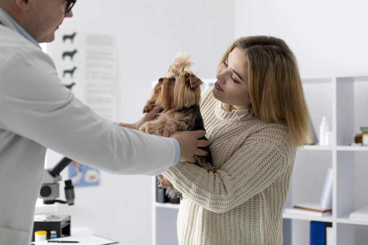Universidade promove evento gratuito para prevenção de câncer de mama em pets
