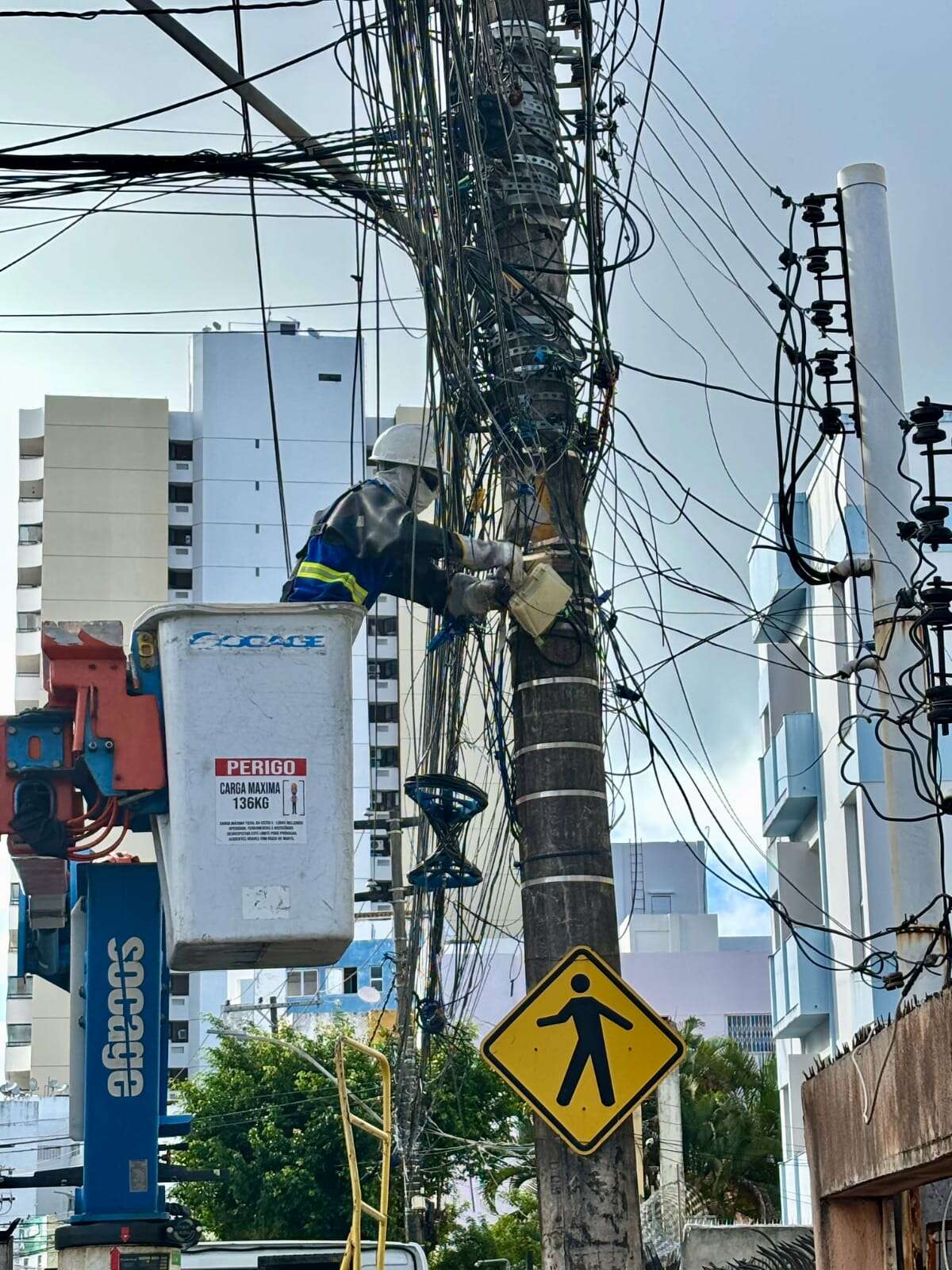 'Gatonet': 450 toneladas de cabos irregulares foram removidas de postes no estado