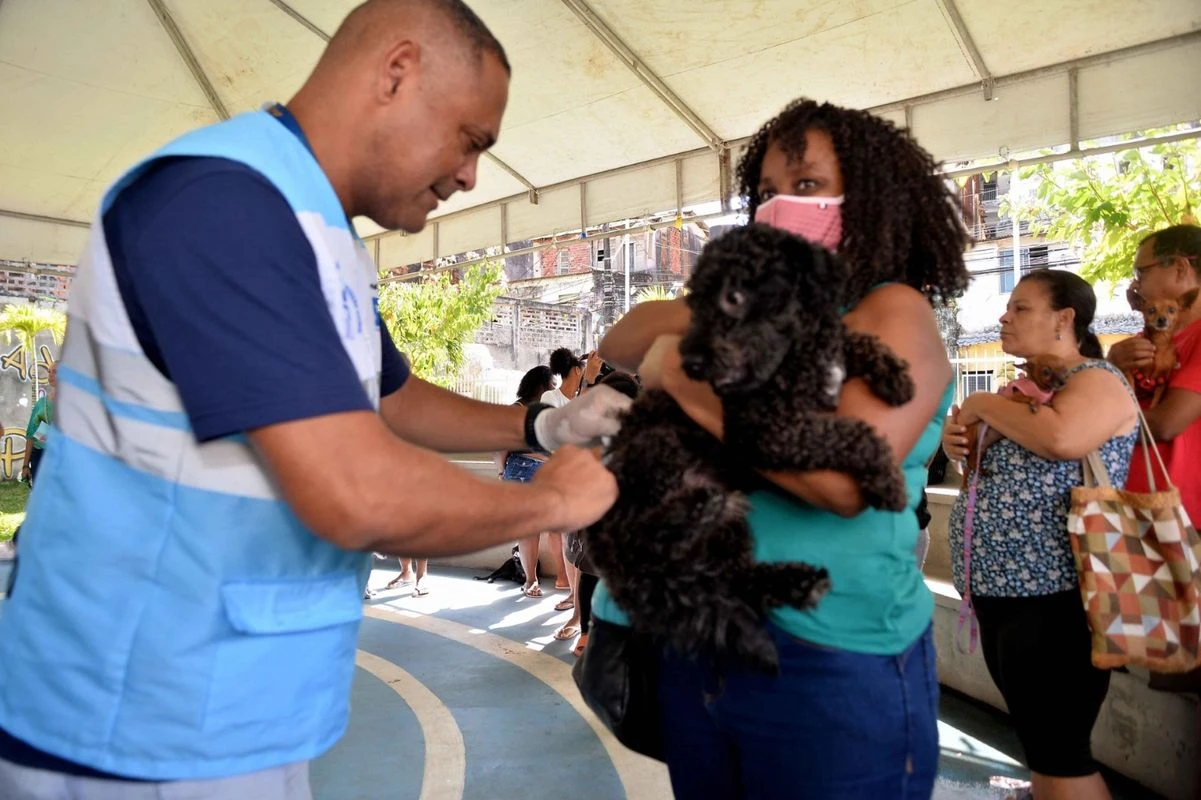 Ainda dá tempo! Veja onde vacinar pets contra a raiva de graça em Salvador