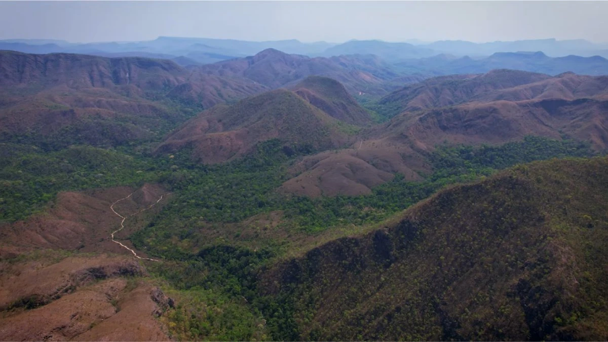Unesco reconhece parque brasileiro como tesouro ambiental mundial