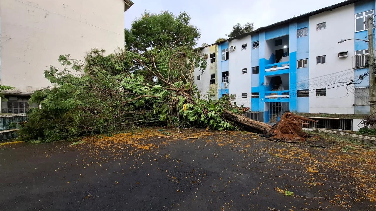 Chuva em Salvador faz 13 sirenes de deslizamento de terra serem acionadas; veja onde