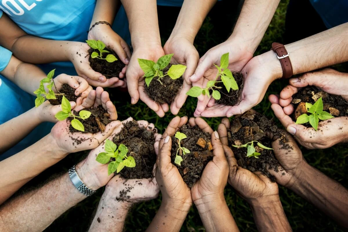 30 atitudes simples para preservar o meio ambiente