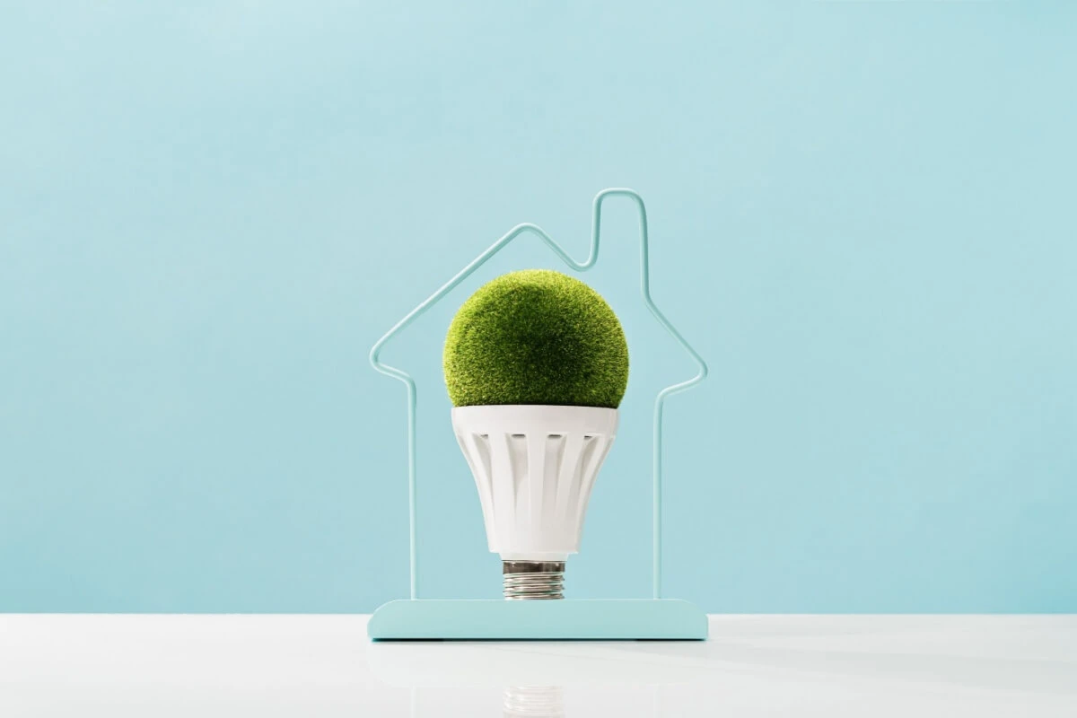 Confira 5 dicas para economizar na conta de luz de forma sustentável